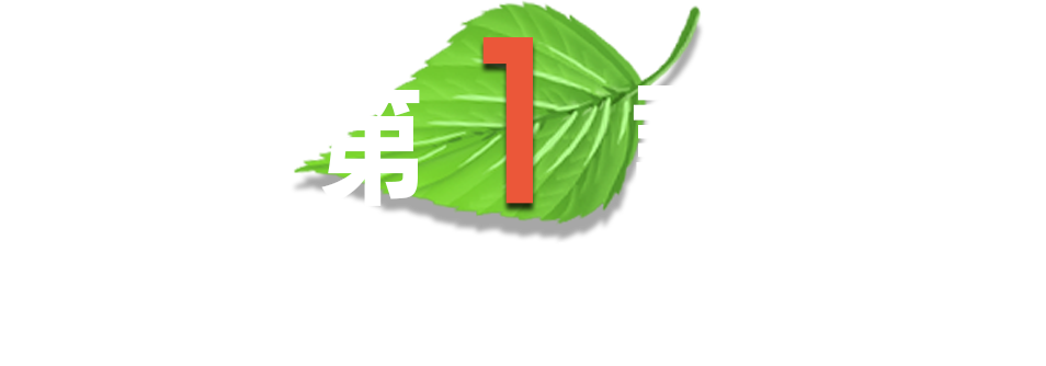 第１話 僕が森へ向かった理由